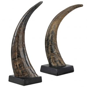 Avorio corno dekoration 2-set
